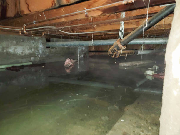 Best Water damage restoration company  in Breese, IL