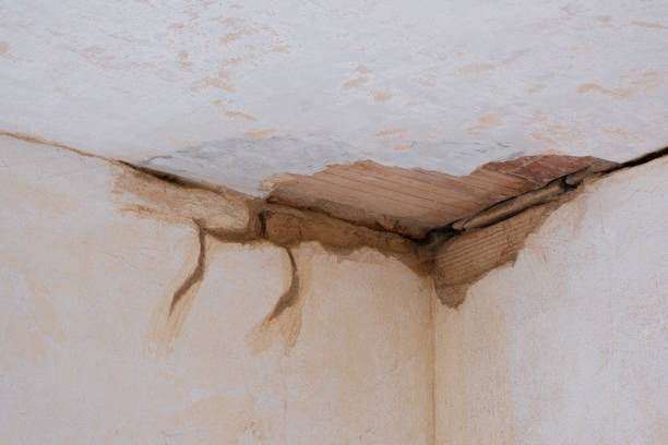 Best Local water damage restoration  in Breese, IL