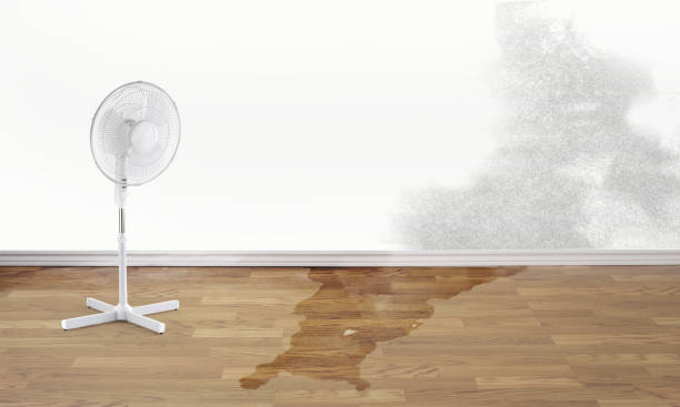 Best 24/7 water damage repair  in Breese, IL