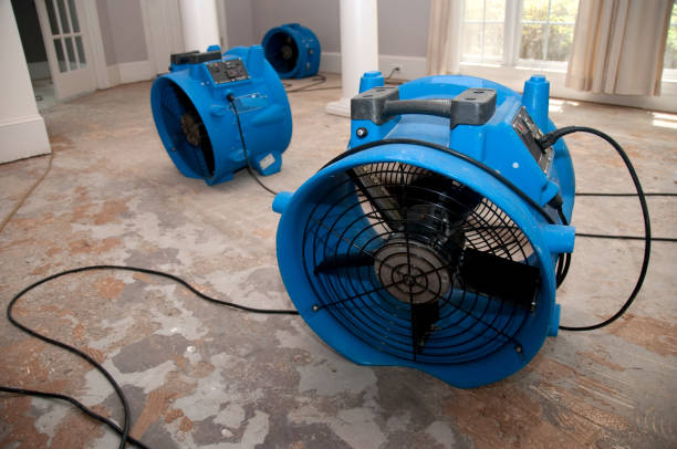  Breese, IL Water damage restoration Pros