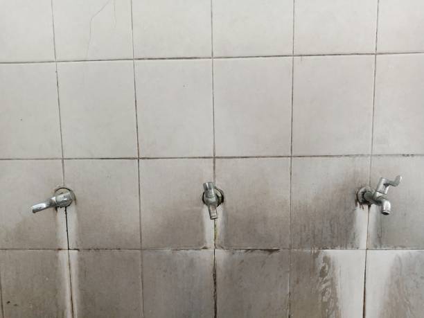 Best Mold removal after water damage  in Breese, IL