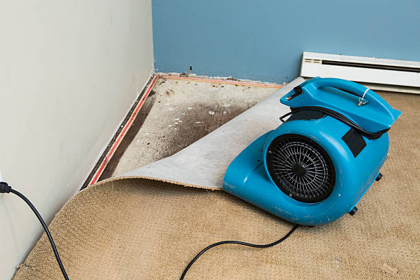 Best 24/7 water damage repair  in Breese, IL